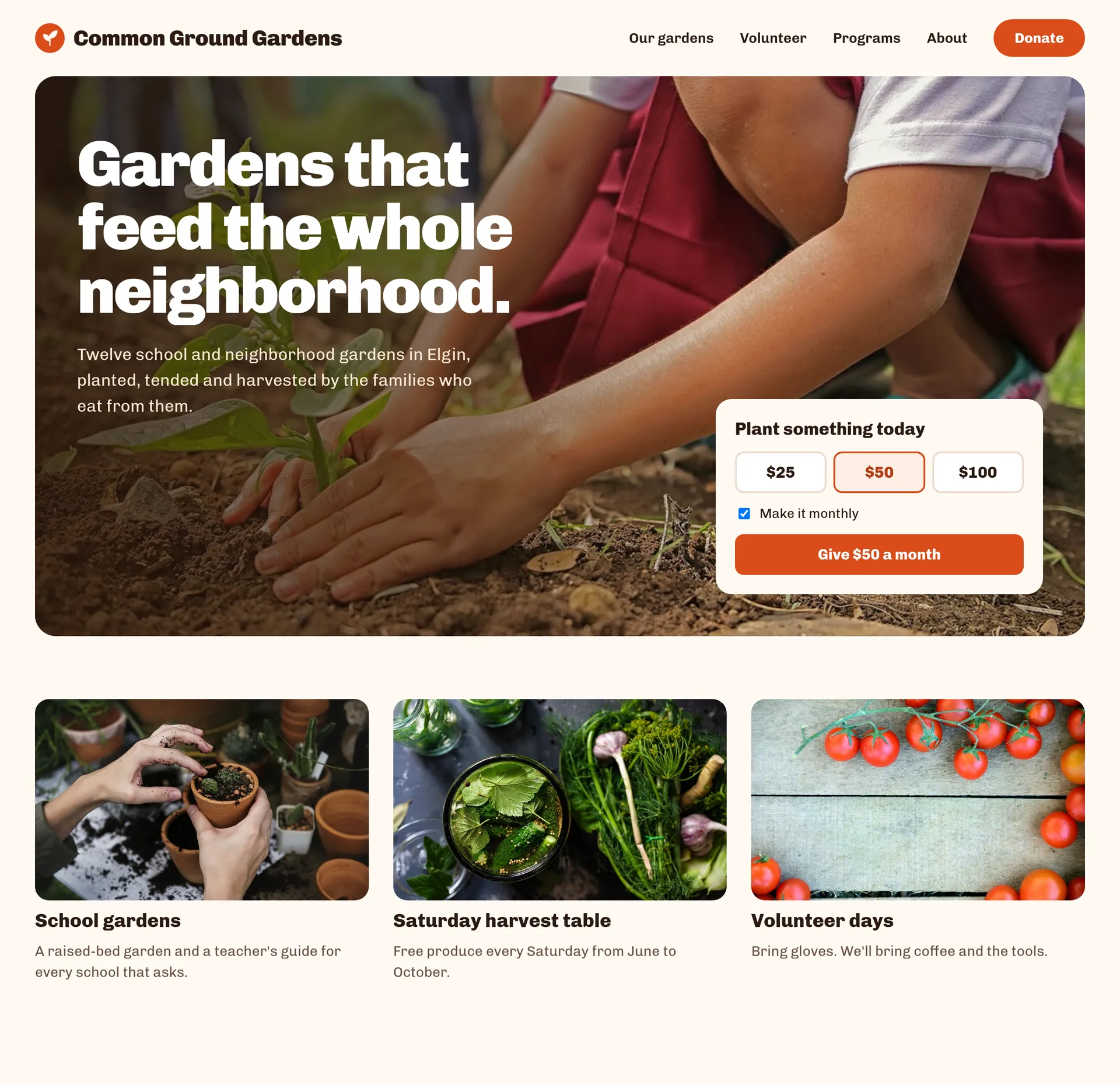 An example homepage for nonprofits and charities, with a large photo, a headline and the next section below